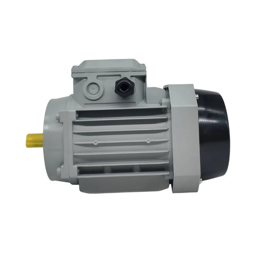 Estructura Corporal Robusta Motor Eléctrico de Alto Rendimiento para Maquinaria Alimentaria