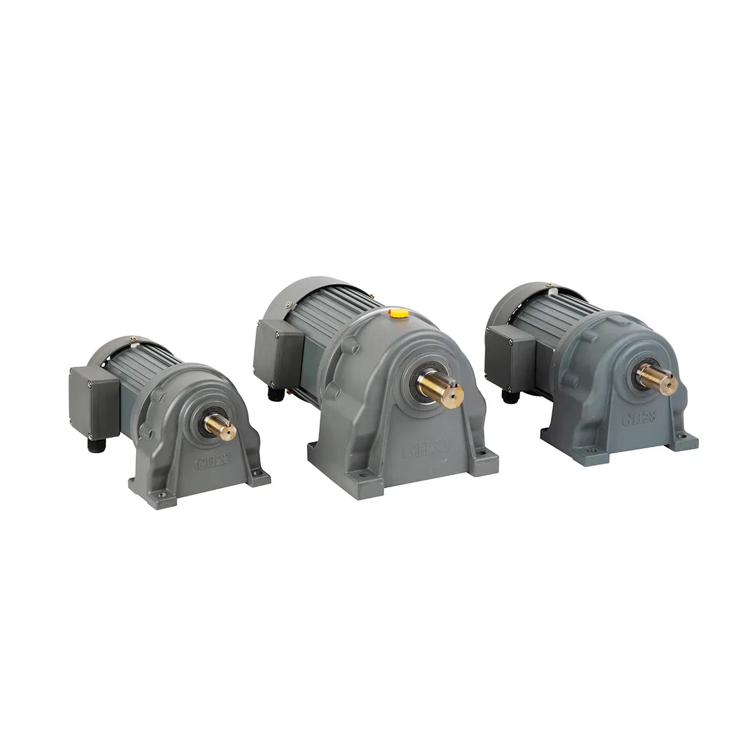 Motor de Reducción de Engranaje con Potencia 220volt y Caja de Engranajes de Eje Hueco Sólido en Ángulo Recto