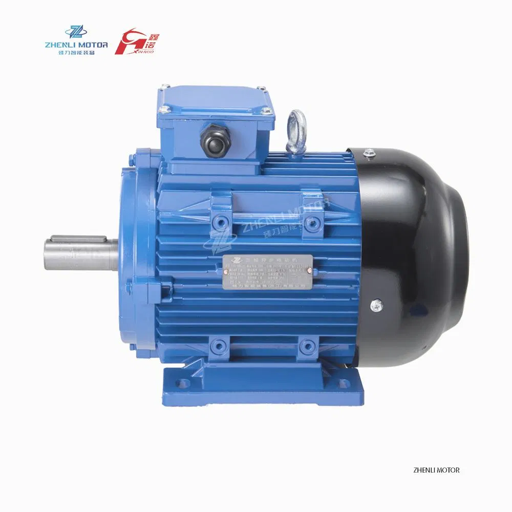Zlye5 Motor Eléctrico Sincrónico 3 Fase CA Alta Densidad de Par Ie5 Nominal B3 Montaje en Pie