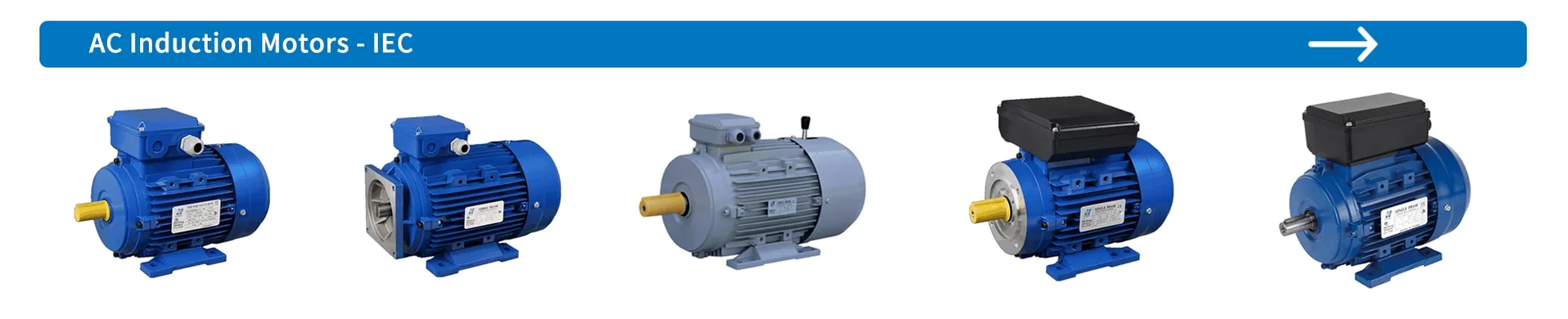 Motor de inducción de jaula de fase única