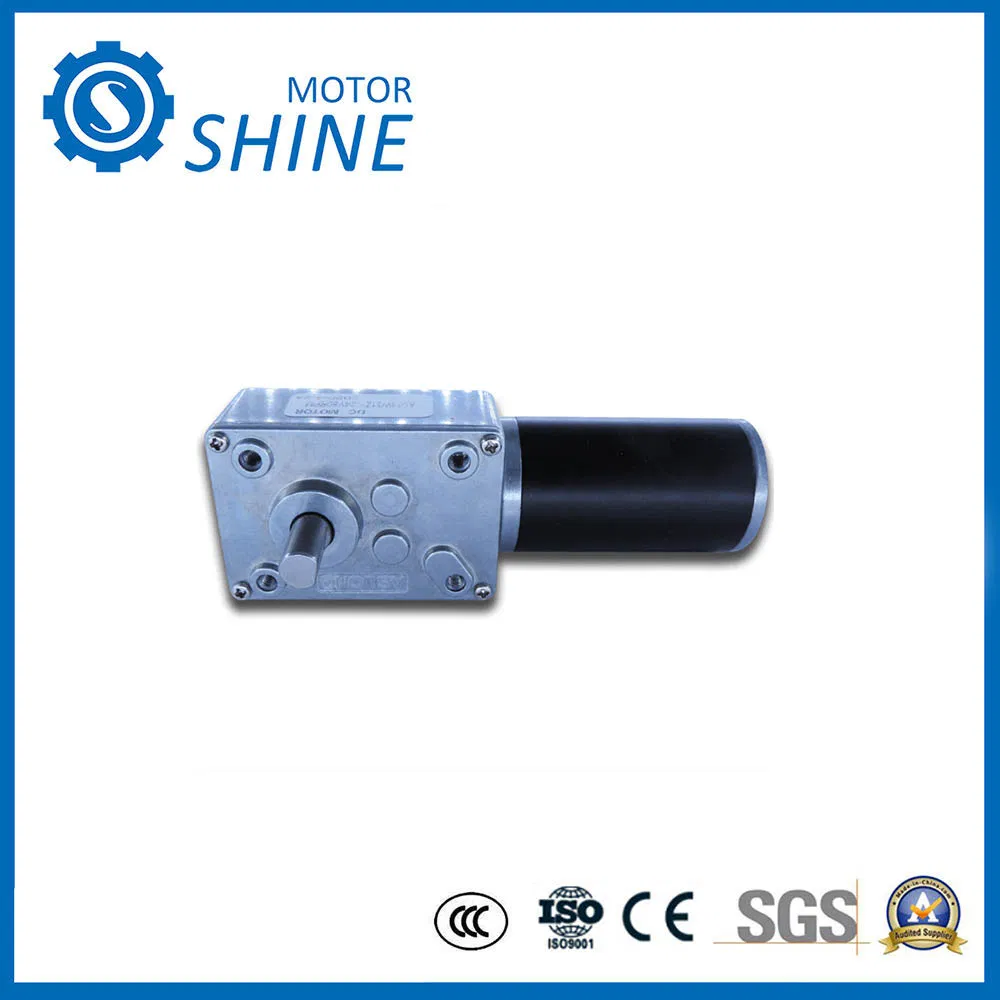 6V-24V Engranaje de gusano 58 Motor de corriente continua en miniatura