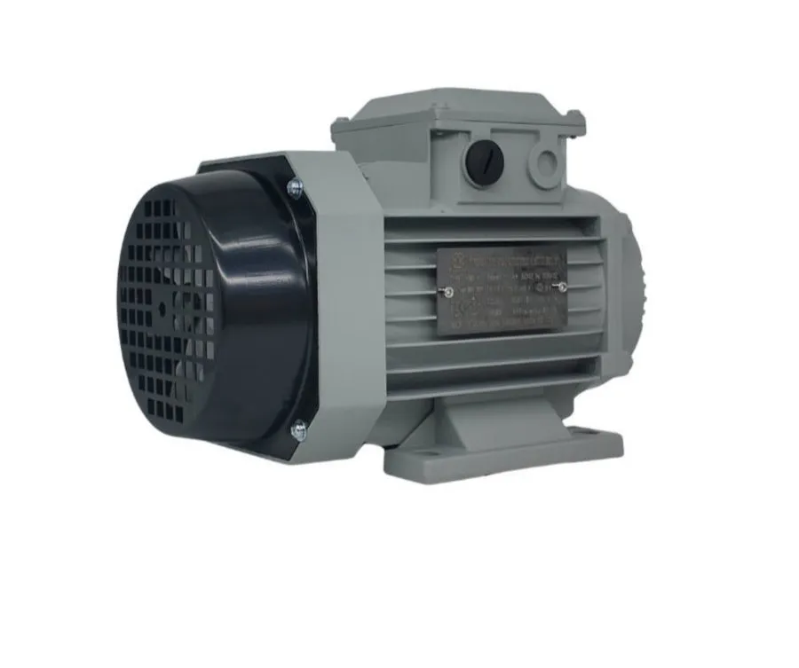 Estructura Corporal Robusta Motor Eléctrico de Alto Rendimiento para Maquinaria Alimentaria