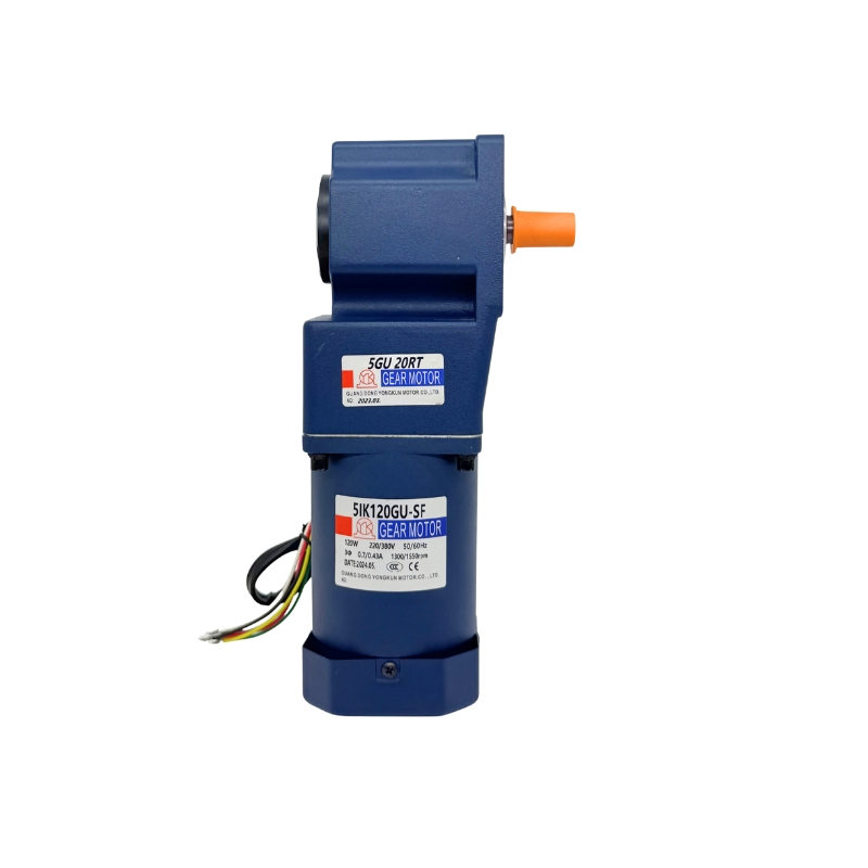 Motor de Reducción Geared de Corriente Alterna con Eje Hueco de Ángulo Recto Risc 5ik60gn para Equipos Mecánicos de Automatización, Molinos de Alimentación Agrícola