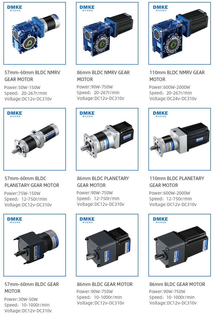 12V 24V 36V 48V Motor de engranaje planetario BLDC sin ranura 1200W 2HP