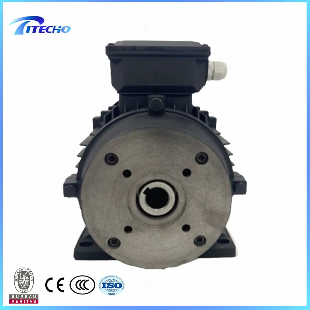 2.2kw 4kw 5.5kw 7.5kw 11kw 15kw 18.5kw Motor de Eje Hueco de Doble Rodamiento para Bomba Italiana 24mm