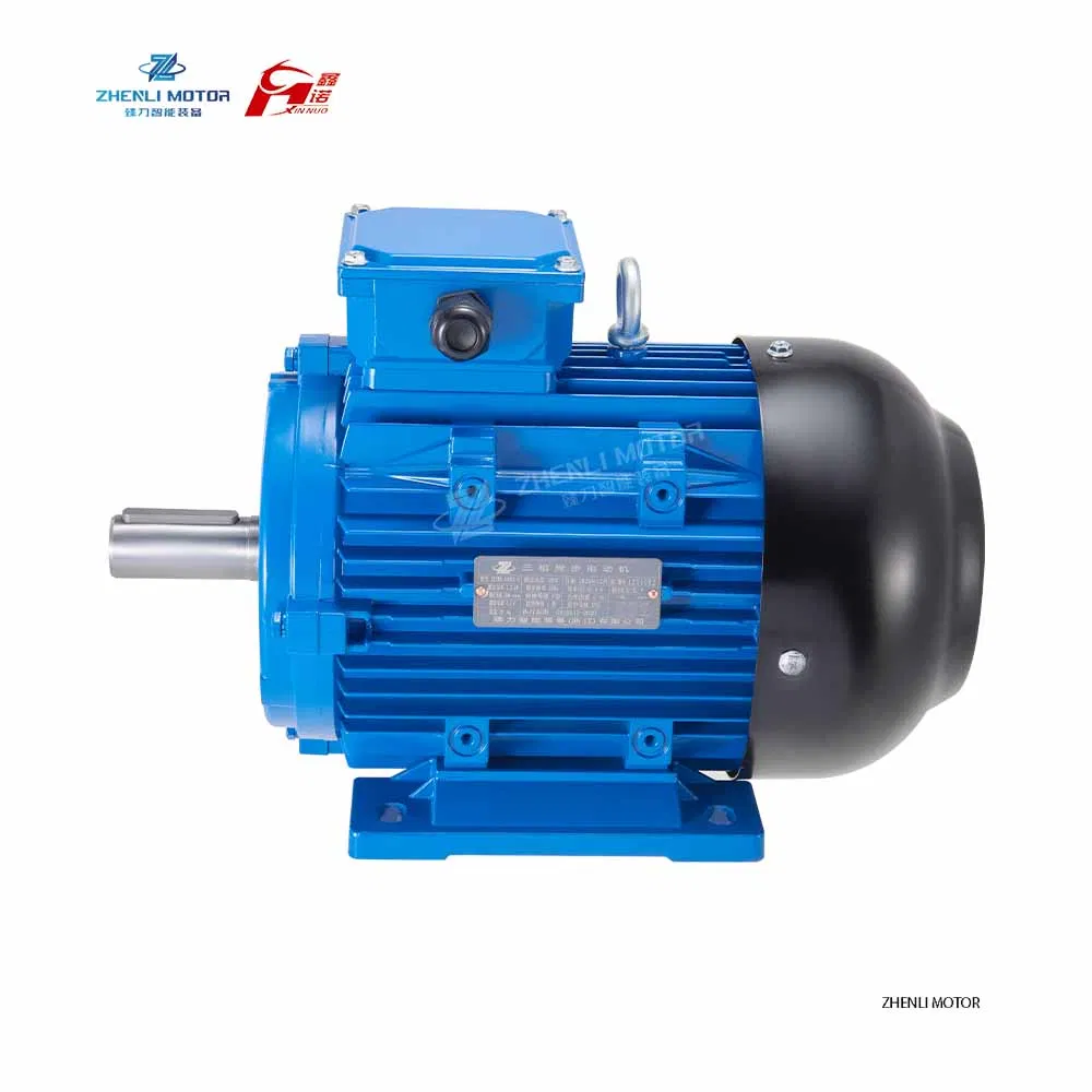 Zlye5 Motor Eléctrico Sincrónico 3 Fase CA Alta Densidad de Par Ie5 Nominal B3 Montaje en Pie