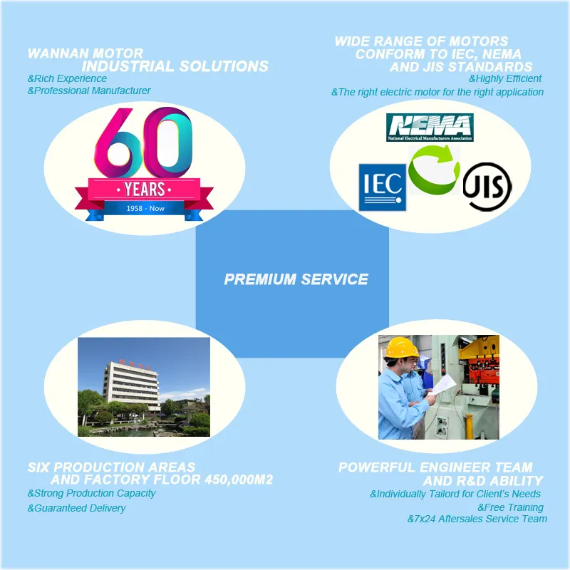 Servicio Premium de control