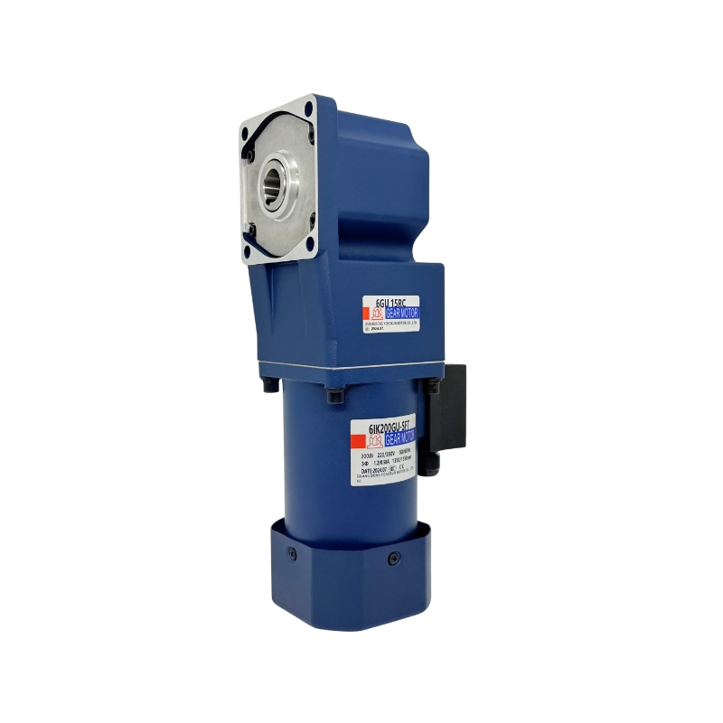 Motor de Reducción Geared de Corriente Alterna con Eje Hueco de Ángulo Recto Risc 5ik60gn para Equipos Mecánicos de Automatización, Molinos de Alimentación Agrícola