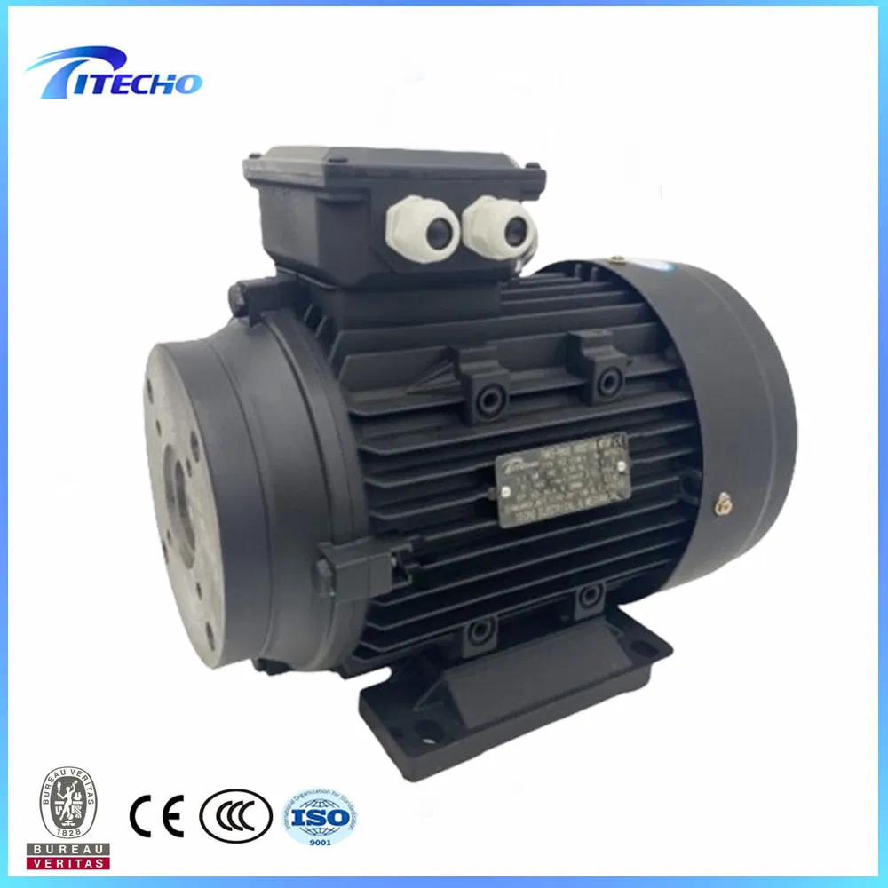 2.2kw 4kw 5.5kw 7.5kw 11kw 15kw 18.5kw Motor de Eje Hueco de Doble Rodamiento para Bomba Italiana 24mm
