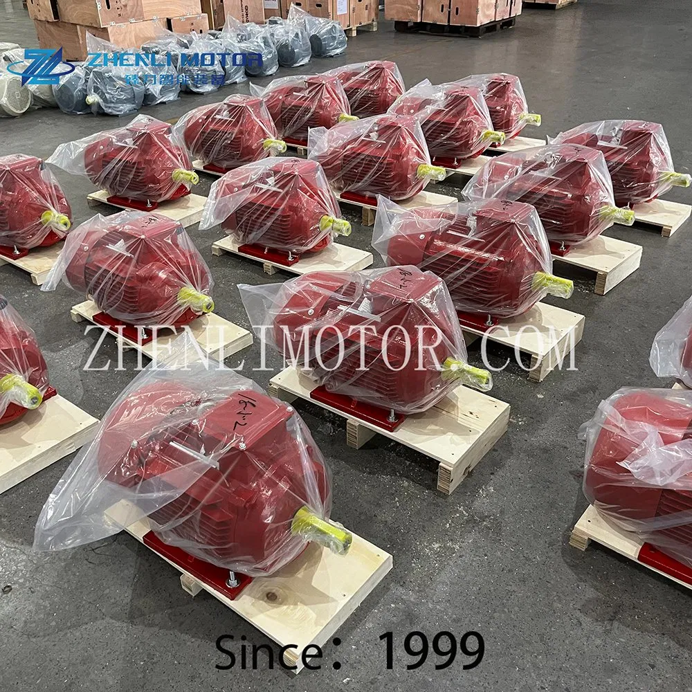 Ie3/Ie4/Ie5 Eficiencia Motores Eléctricos Asincrónicos Trifásicos Inducción Eje Hueco 3 Motor Eléctrico AC de Fase en Venta Precio en Máquinas Textiles
