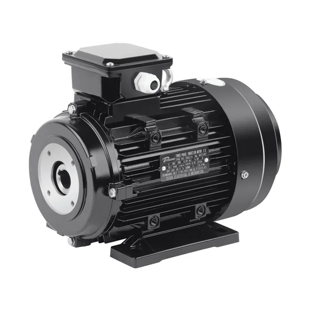 Motor Eléctrico Eje Hueco Bomba de Alta Presión Monofásica 380V Potencia Nominal 3kw