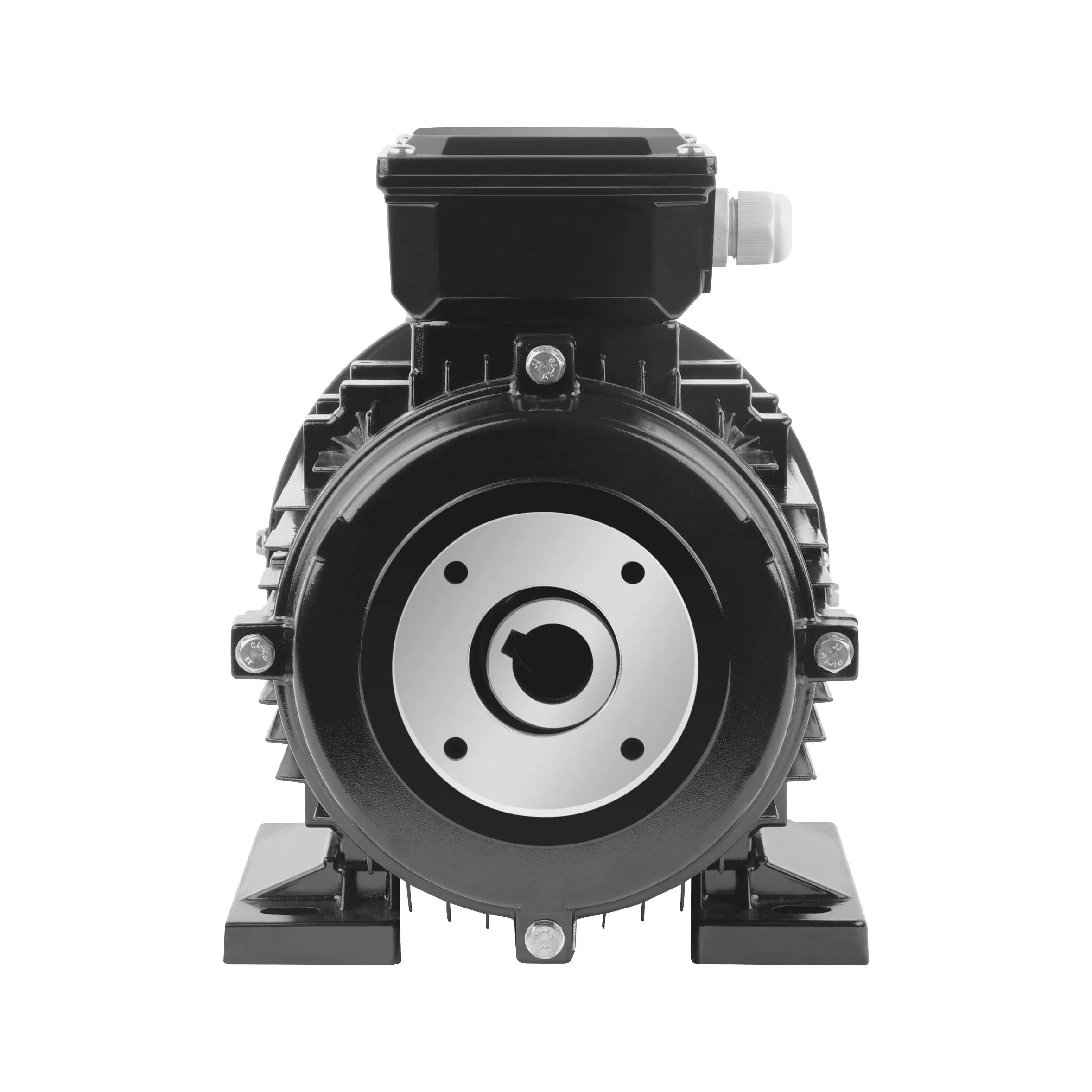 Bomba de Lavadora de Alta Presión Motor Eje Hueco 5.5kw 7.5HP Trifásico 24mm Eje