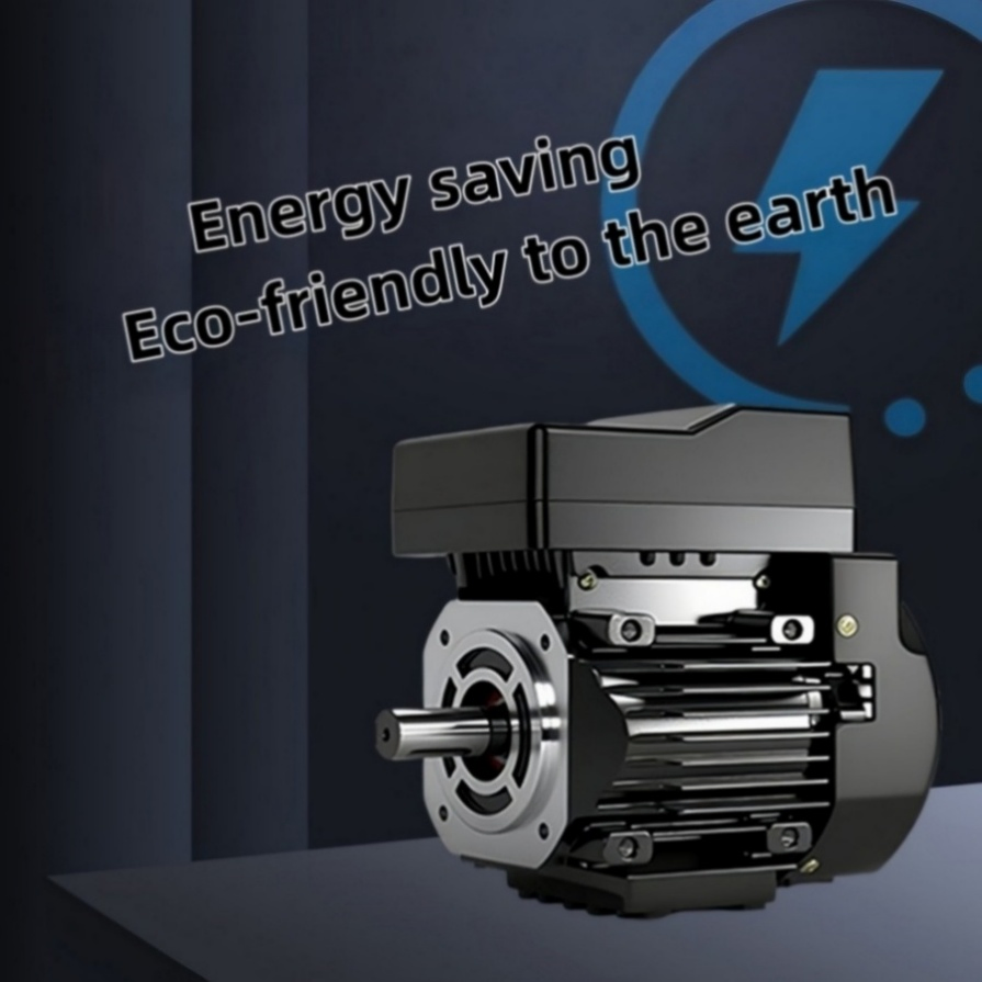 Aseguramiento de Calidad Motor Síncrono de Imán Permanente de Alta Densidad de Par 220V para Compresor