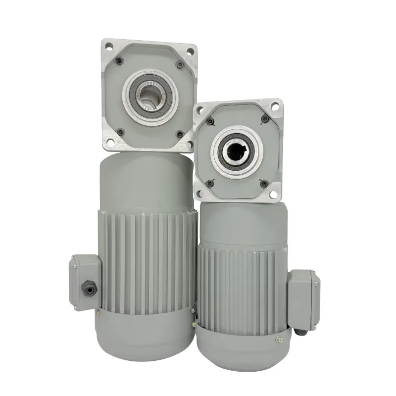 Motor de Reducción Geared de Corriente Alterna Risc 5ik60gn