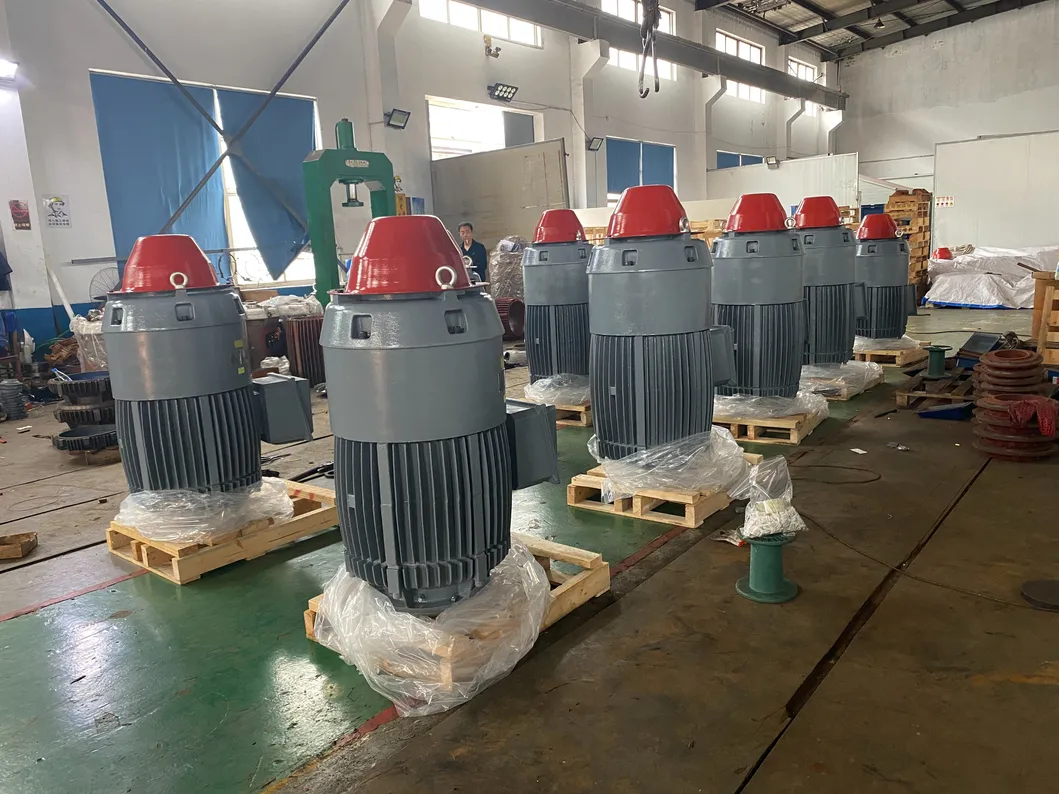 Tefc IP54 IP55 Alta Tensión 1kv 6kv Motor de Eje Hueco Vertical Vhs