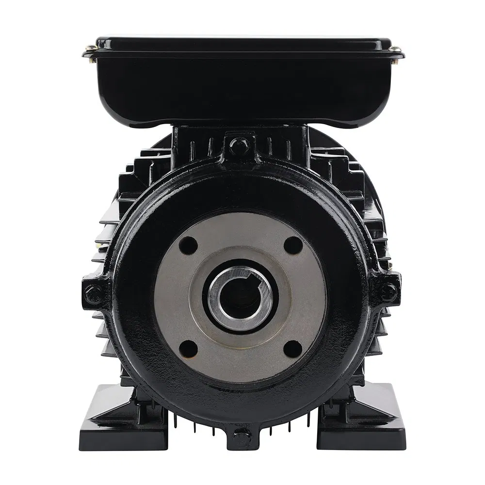 Titecho 7.5kw 10HP Motor Eléctrico Eje Hueco Bomba de Alta Presión Monofásica 380V Potencia Nominal 3kw