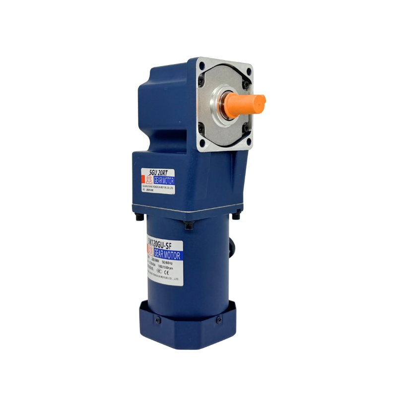 Motor de Reducción Geared de Corriente Alterna con Eje Hueco de Ángulo Recto Risc 5ik60gn para Equipos Mecánicos de Automatización, Molinos de Alimentación Agrícola
