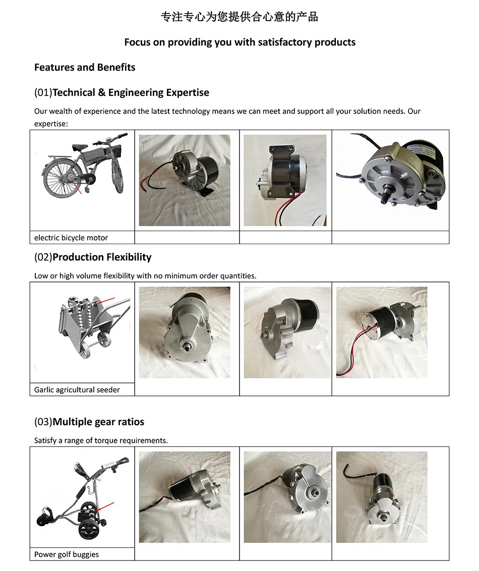 Parámetros técnicos 24V 180W Motor Eléctrico