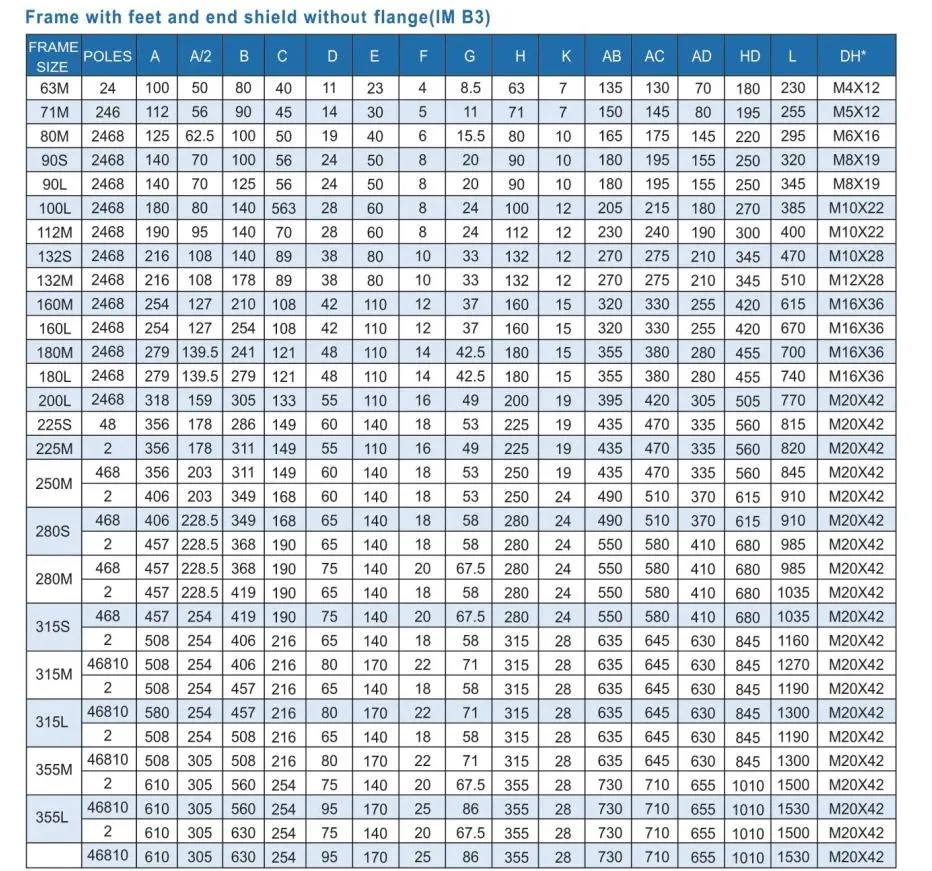 Dimensiones físicas motor inducción