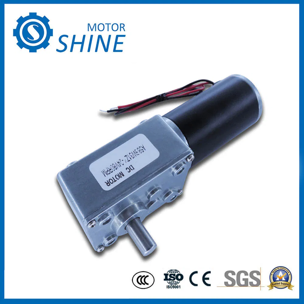 6V-24V Engranaje de gusano 58 Motor de corriente continua en miniatura