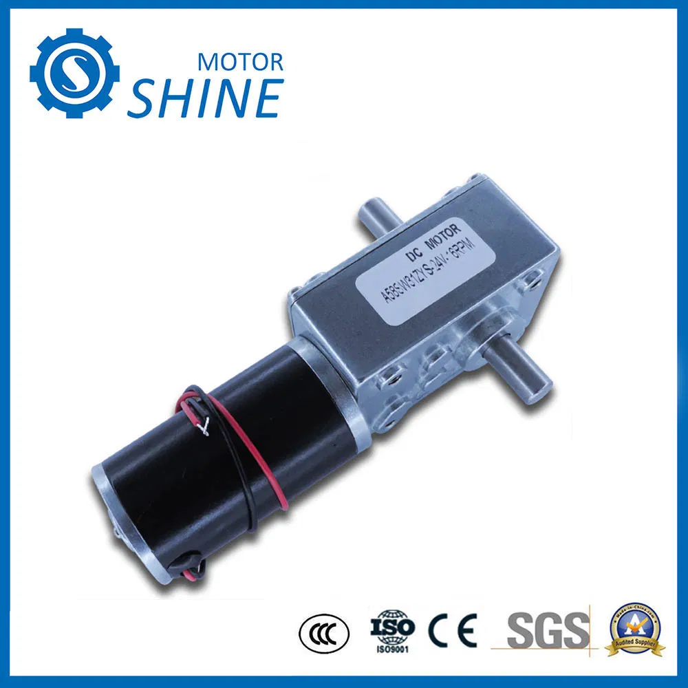 6V-24V Engranaje de gusano 58 Motor de corriente continua en miniatura