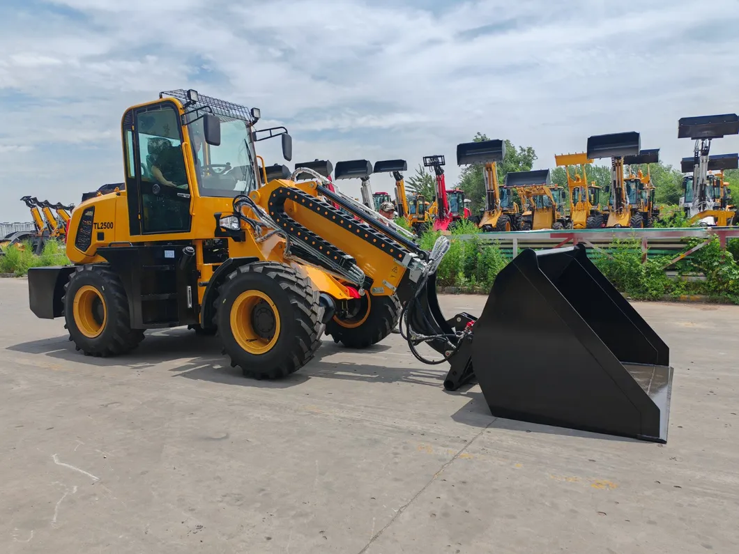 Wheel Loader Detail 3