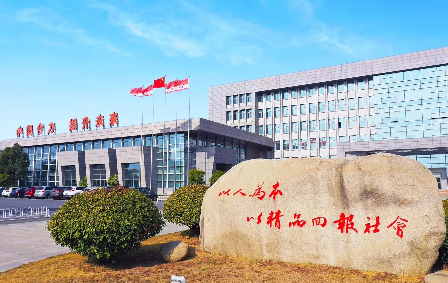 Heli Forklift Overview