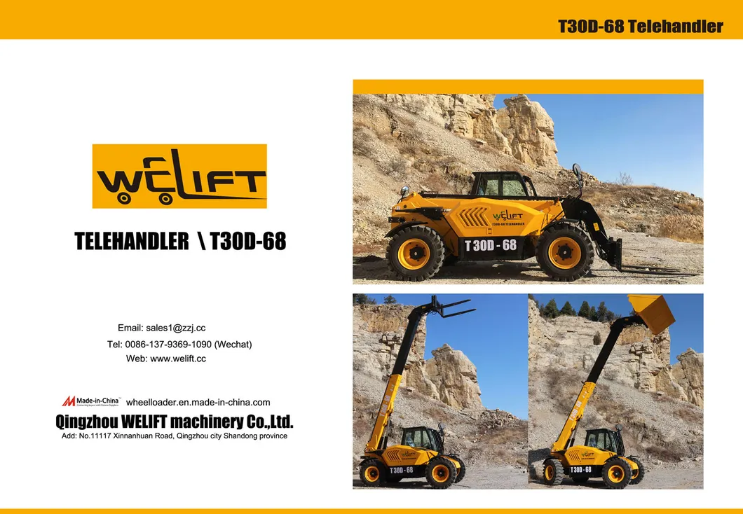 Telescopic Boom Forklift View 1