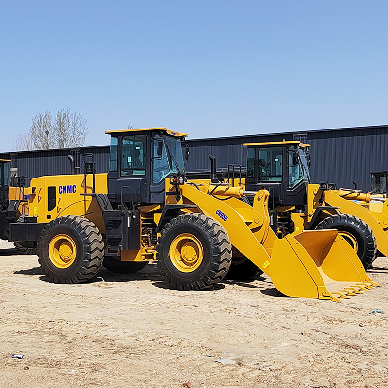 RoHS Approved Hydraulic - Mechanical Cnmc Wooden Case Diesel-Powered Multifunctional Wheel Loader