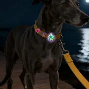Pet Leash Plug in Accessories Set