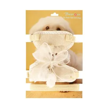 Cute Bear Mesh Pet Harness and Leash