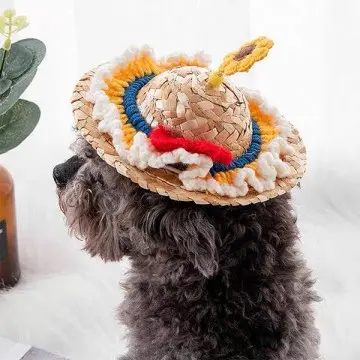 Customizable Straw Pet Hats