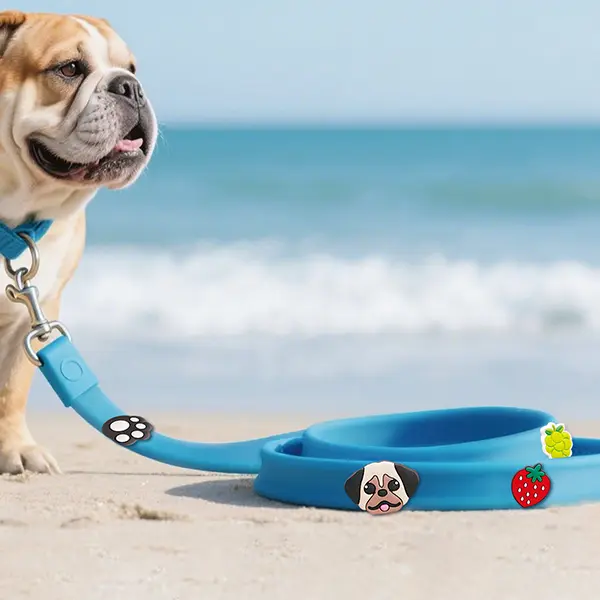 Wholesale Custom PVC Soft Rubber Charms for Pet Leashes – 5pcs/Set – 3×2cm – OEM Designs