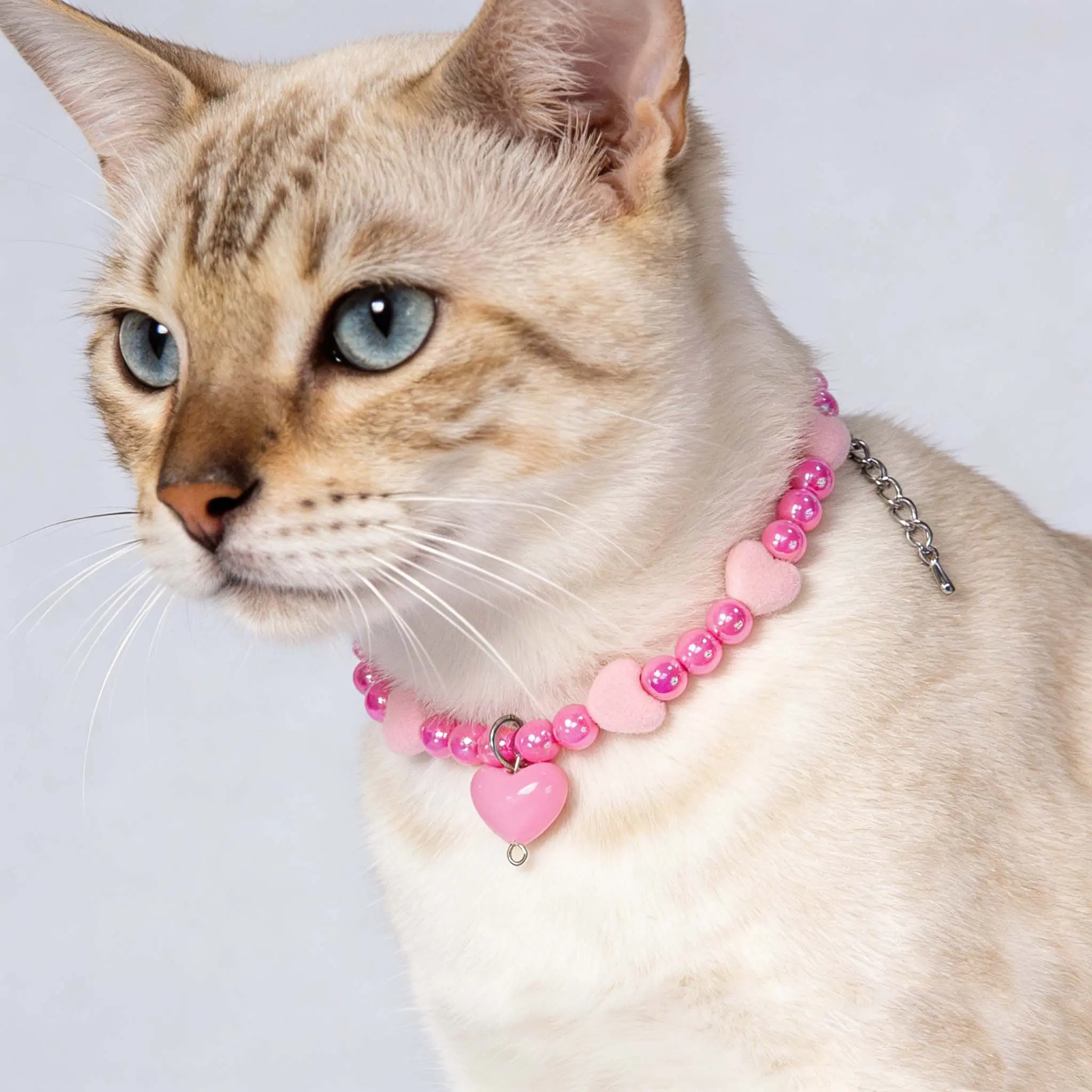 OEM Valentine’s Day Beaded Pet Necklace (Linked Style), 8mm Color-Plated Acrylic Beads with Flocking Heart Charm, Adjustable 30+5cm – 4 Color Variants Supplier, Exporters