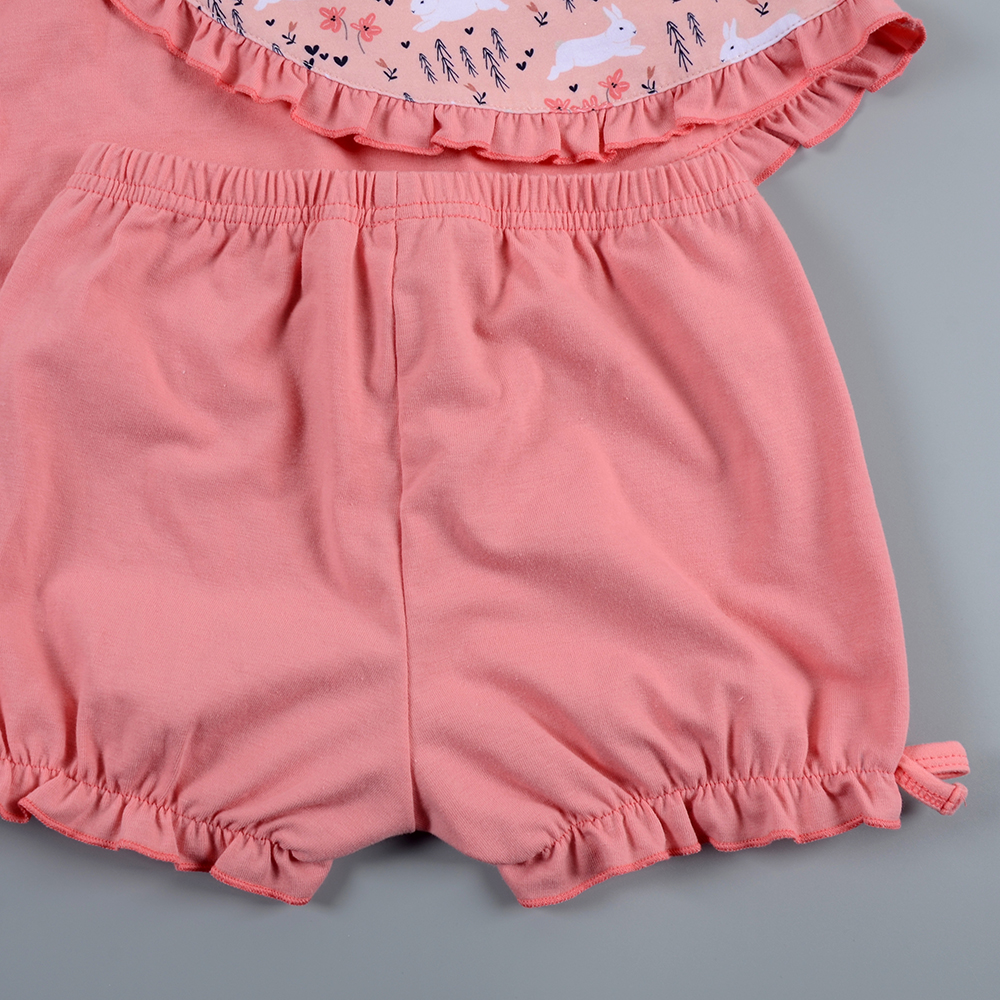 Collection Image 4