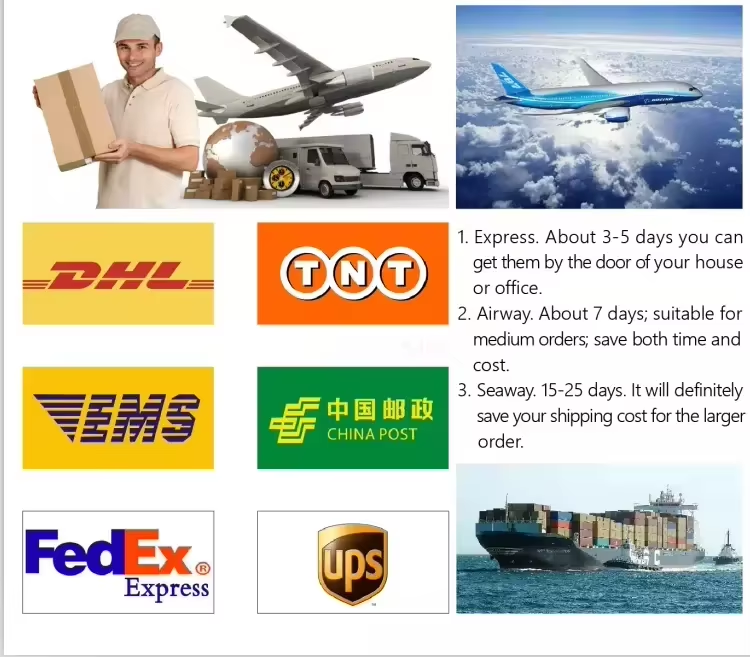 Company Introduction 3