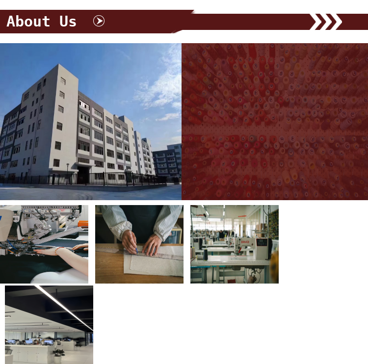 Company Introduction Banner