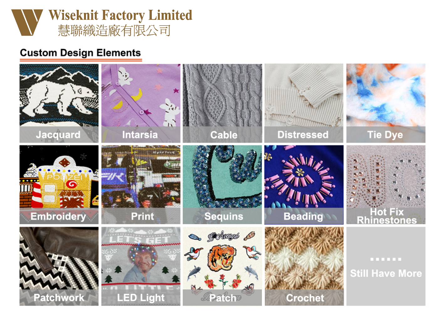 Logo Customization Options