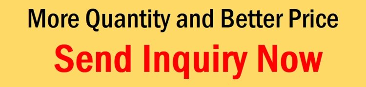 Women Wear Fashion Collection