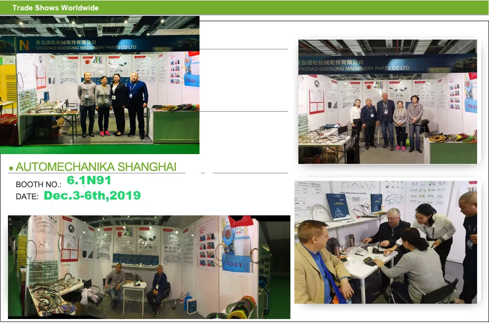 Exposição Internacional
