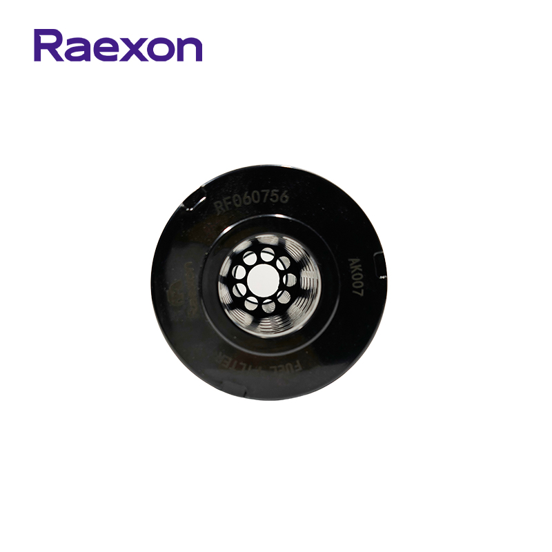 Elemento do Filtro de Combustível Raexon RF060756 1r-0756 para Veículo Comercial