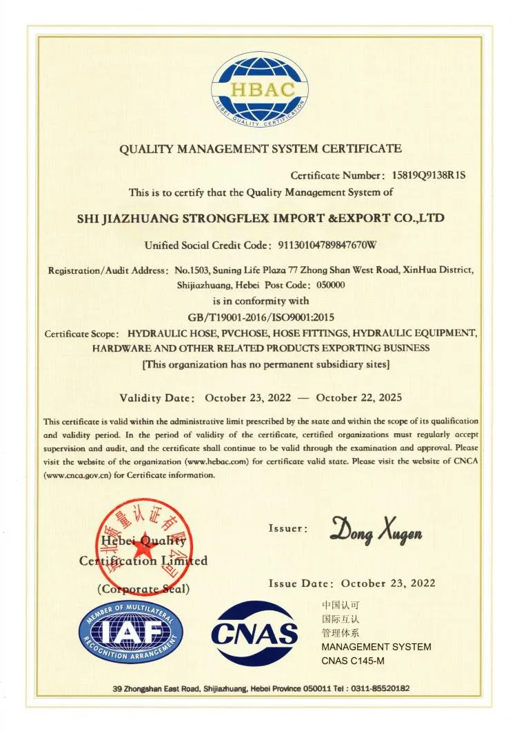 Certificado 3
