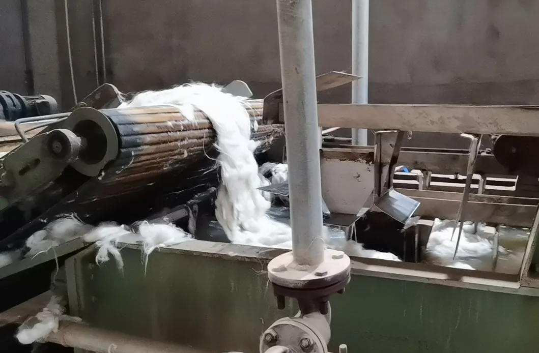 Produção de Cashmere 2