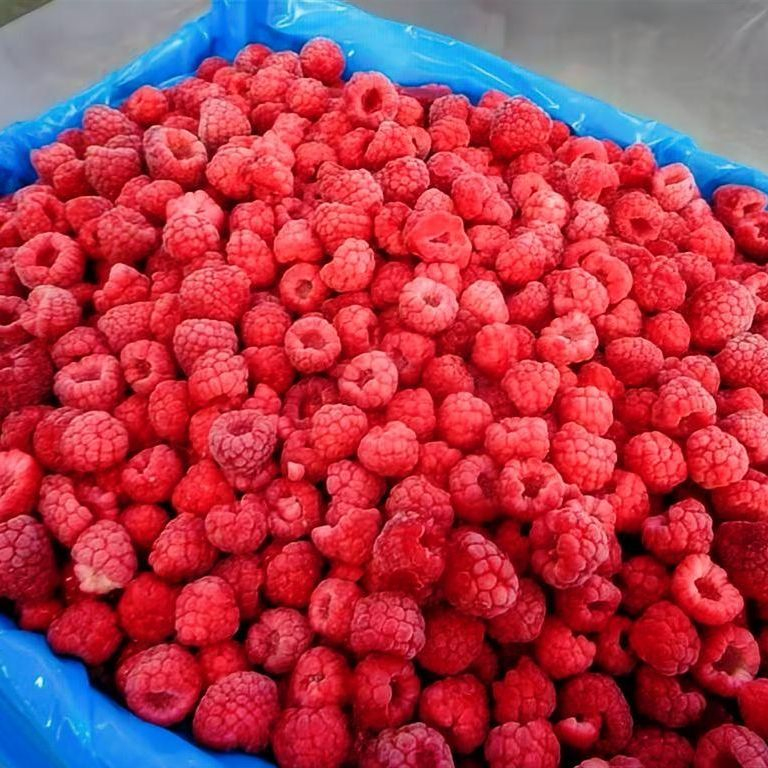 China Frozen Fruit Berries Fruit Wholesale Customized Seasonal Fruit Organic Pitted IQF Fresh Frozen Raspberry in New Crop Whole Berries