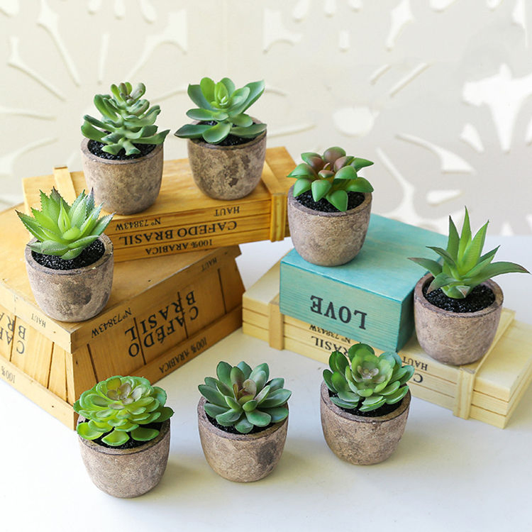 Mini Assorted Succulents Plants Artificial Potted Desktop Plants Decor Set of 4