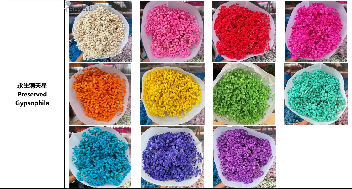 Dried Baby's Breath Flowers for Stylish Home Accents