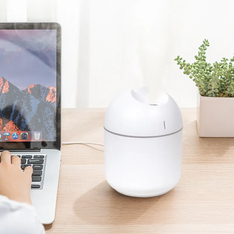 Aromatherapy Diffuser 4