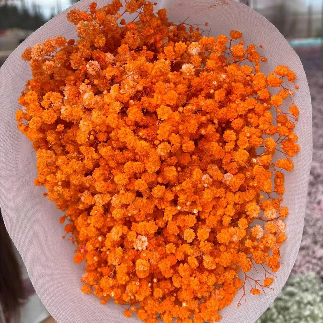 Dried Baby's Breath Flowers for Stylish Home Accents