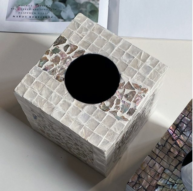 Elegant Shell Facial Tissue Holder Modern Ornament for Living Room Dining Table