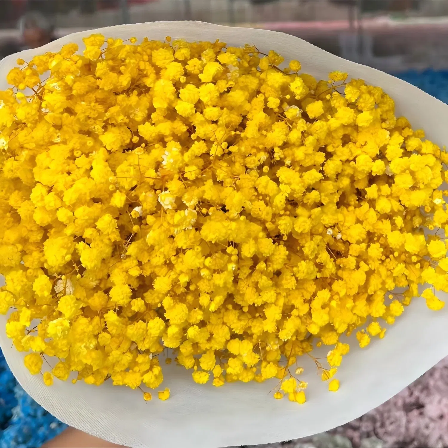 Dried Baby's Breath Flowers for Stylish Home Accents